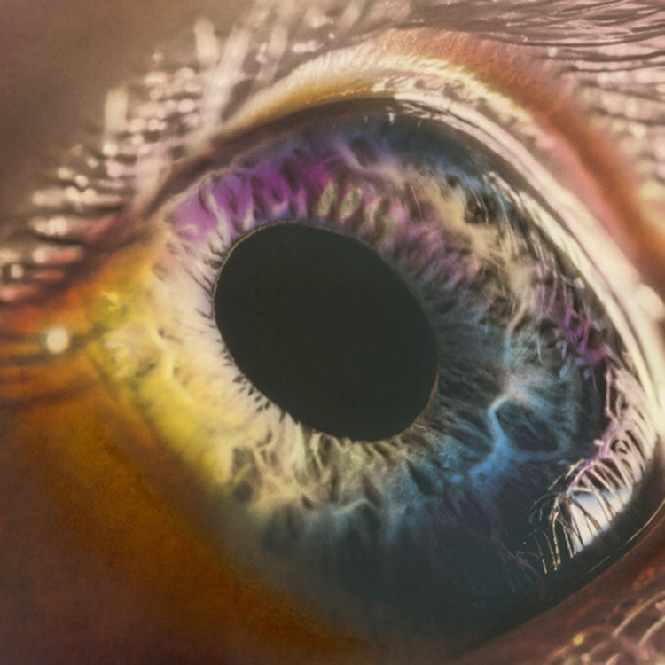 Rock / Indie / Alternative Arcade Fire - WE