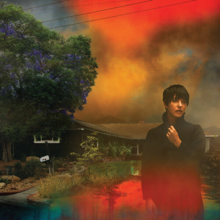 Rock / Indie / Alternative Sharon Van Etten - We've Been Going About This All Wrong