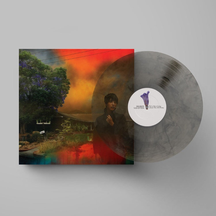 Rock / Indie / Alternative Sharon Van Etten - We've Been Going About This All Wrong