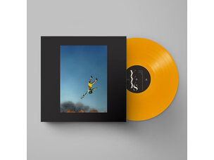 Rock / Indie / Alternative Yeah Yeah Yeahs - Cool It Down LP (yellow)