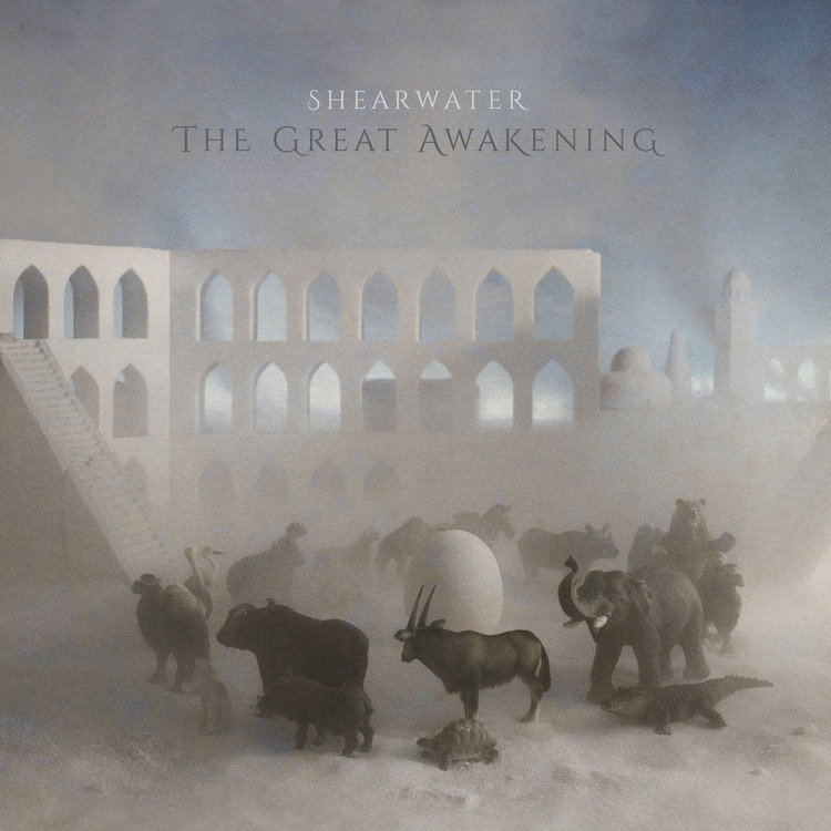 Shearwater - The Great Awakening LP
