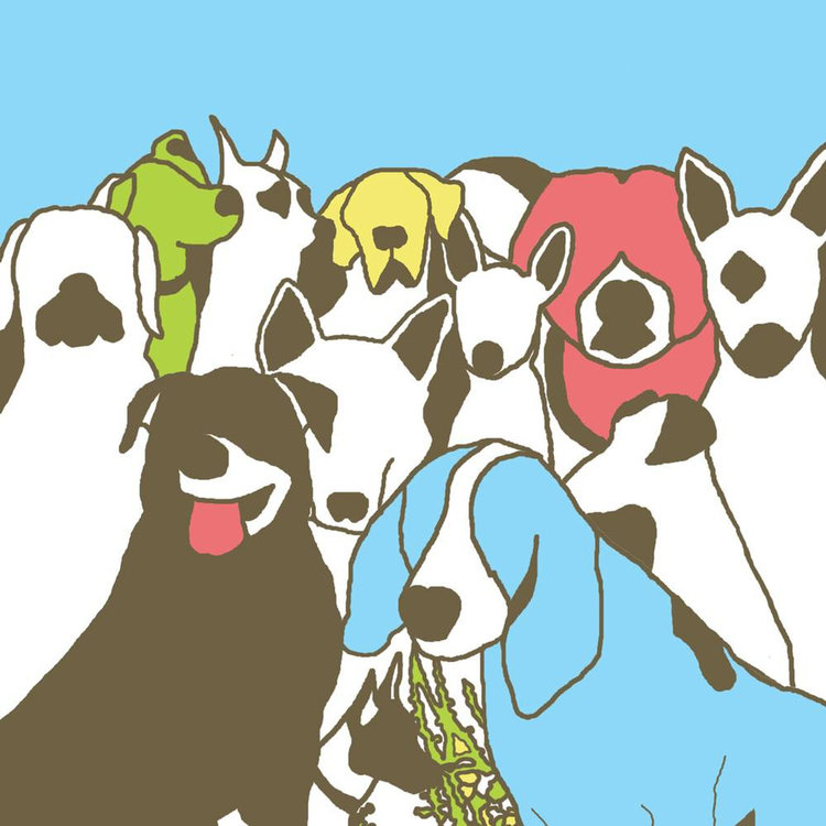 Rock / Indie / Alternative The Format - Dog Problems LP (Milky Clear)