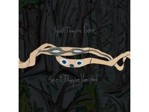Rock / Indie / Alternative Animal Collective - Spirit They’re Gone LP (green)