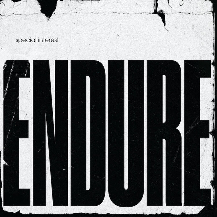 Special Interest - Endure vinyl LP