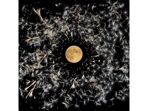 Lisa O'Neill - All of This is Chance LP