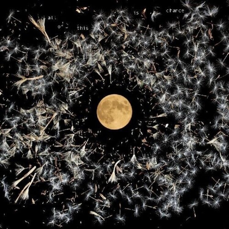 Lisa O'Neill - All of This is Chance LP