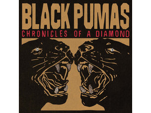 Rock / Indie / Alternative Black Pumas - Chronicles of a Diamond