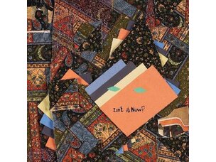 Animal Collective - Isn't It Now LP (tangerine vinyl)