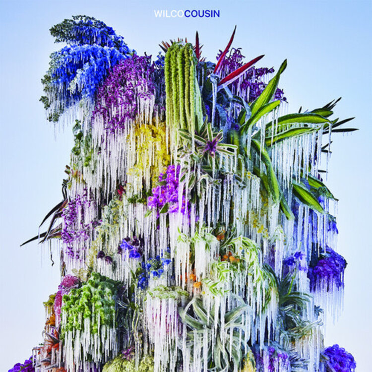 Rock / Indie / Alternative Wilco - Cousin LP