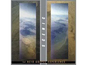 Rock / Indie / Alternative Scenic - The Acid Gospel Experience (2LP)