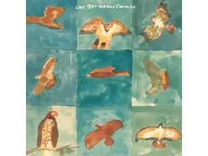 Rock / Indie / Alternative Los Hermanos Cosmico - Live at Pappy & Harriet's LP