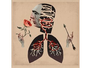 Hot Water Music - Vows LP (clear vinyl)