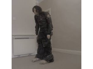 El Perro Del Mar - Big Anonymous LP