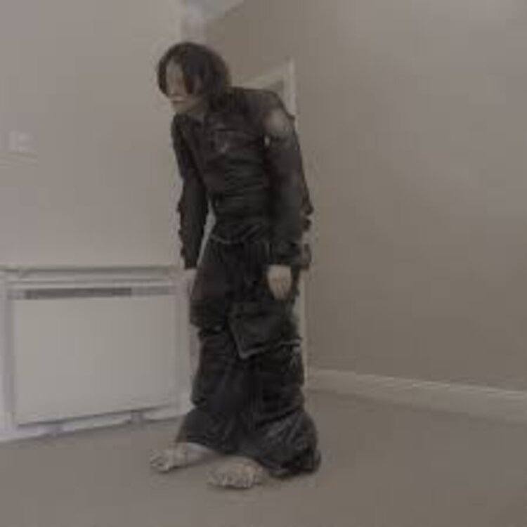 El Perro Del Mar - Big Anonymous LP