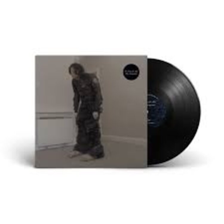 El Perro Del Mar - Big Anonymous LP