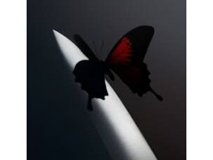 Post Malone - Twelve Carat Toothache LP (Red/black)