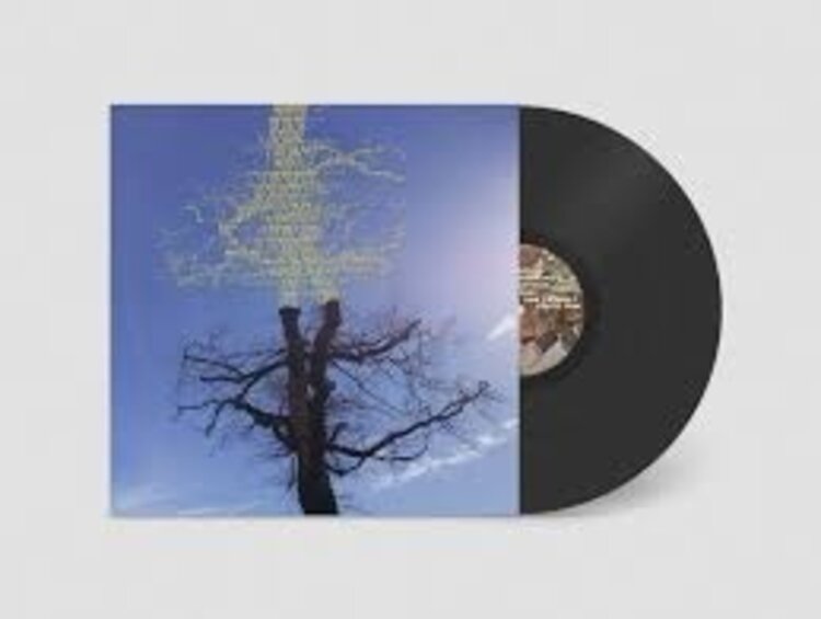 Rock / Indie / Alternative Sadier, Laetitia - Rooting For Love LP