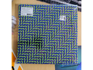 Animal Collective - Merriweather Post Pavillion LP (15th Deluxe)
