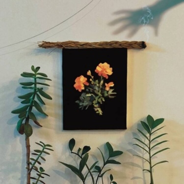 Autographed - WHY? - The Well I Fell Into LP (Coke Bottle Clear)