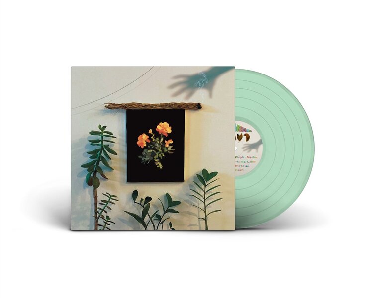 Rock / Indie / Alternative Autographed - WHY? - The Well I Fell Into LP (Coke Bottle Clear)
