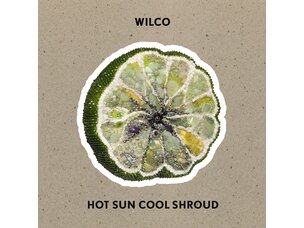 Rock / Indie / Alternative Wilco - Hot Sun Cool Shroud LP