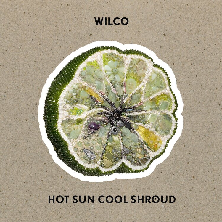 Rock / Indie / Alternative Wilco - Hot Sun Cool Shroud LP