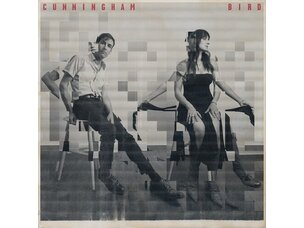 Andrew Bird & Madison Cunningham - Cunningham Bird