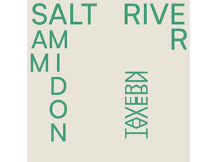 Rock / Indie / Alternative Sam Amidon - Salt River LP