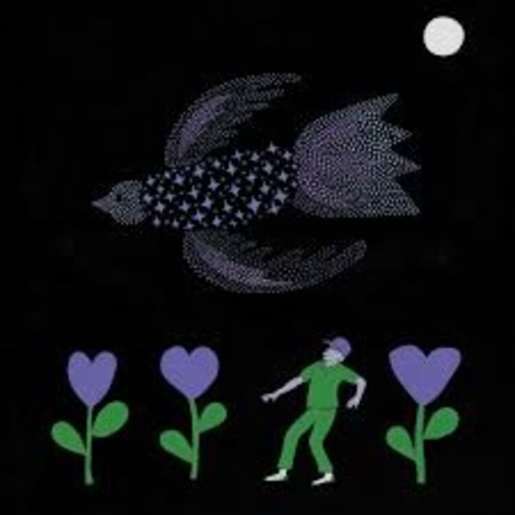 Rock / Indie / Alternative Bonnie "Prince" Billy  - Purple Bird LP