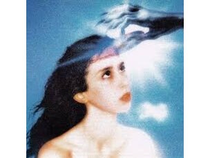 Magdalena Bay - Imaginal Disk LP