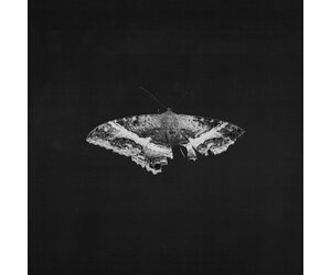 5/30/25) Kendrick Lamar - To Pimp A Butterfly (10th
