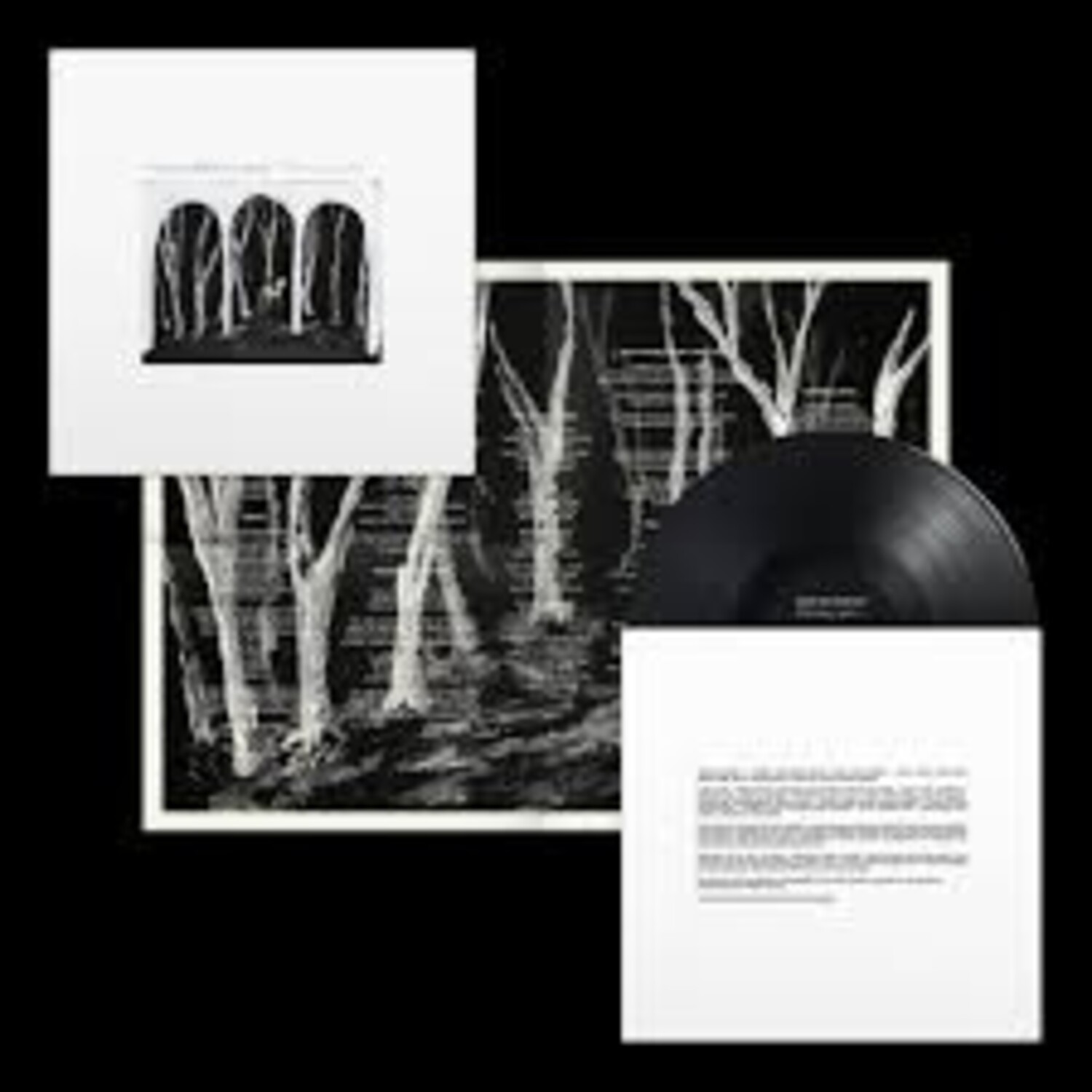 ★ These New Puritans レコード LP These New Puritans - Crooked Wing LP - Stinkweeds Records