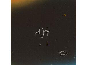 Rock / Indie / Alternative Mt. Joy - Hope We Have Fun LP (Indie Exclusive - Coke Bottle Clear Vinyl)