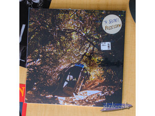 Rock / Indie / Alternative Ty Segall - Possession LP