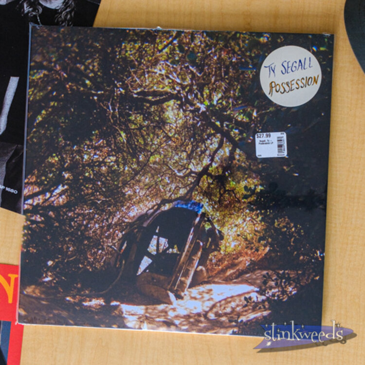 Rock / Indie / Alternative Ty Segall - Possession LP