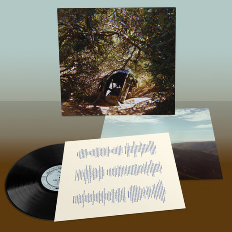 Rock / Indie / Alternative Ty Segall - Possession LP