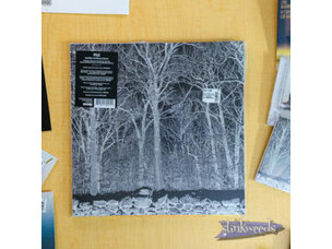 Rock / Indie / Alternative Pile 'Sunshine and Balance Beams (Indie Exclusive)' (Transparent Mix Boris Purple Vinyl LP)