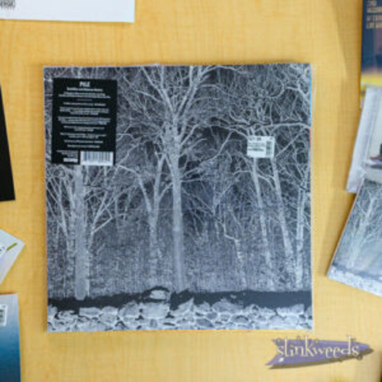 Rock / Indie / Alternative Pile 'Sunshine and Balance Beams (Indie Exclusive)' (Transparent Mix Boris Purple Vinyl LP)