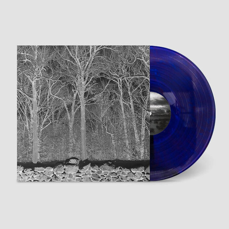Rock / Indie / Alternative Pile 'Sunshine and Balance Beams (Indie Exclusive)' (Transparent Mix Boris Purple Vinyl LP)