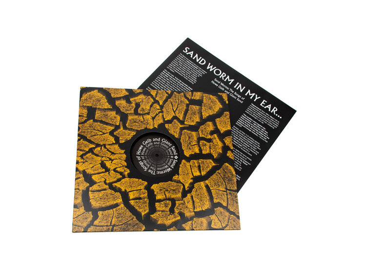 VARIOUS - Sand Worms (The Songs of Howe Gelb and Giant Sand