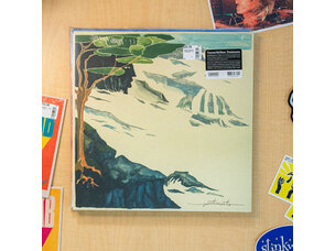 Rock / Indie / Alternative Carson McHone 'Pentimento' LP