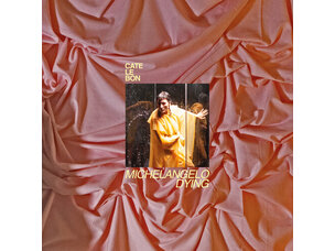 Cate Le Bon - Michelangelo Dying LP (Bone White)