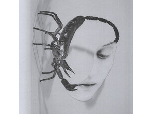 Rock / Indie / Alternative Tortoise - Touch LP