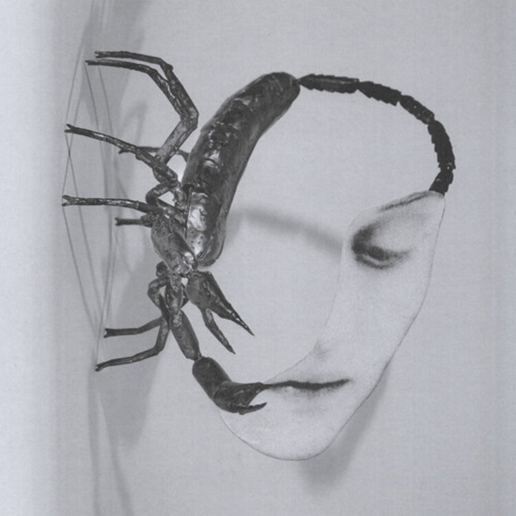 Rock / Indie / Alternative Tortoise - Touch LP