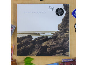 Electronic Aphex Twin / Polygon Window - Surfing on Sine Waves LP