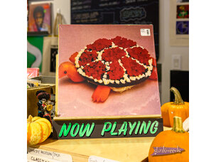 Sharp Pins - 'Turtle Rock' LP