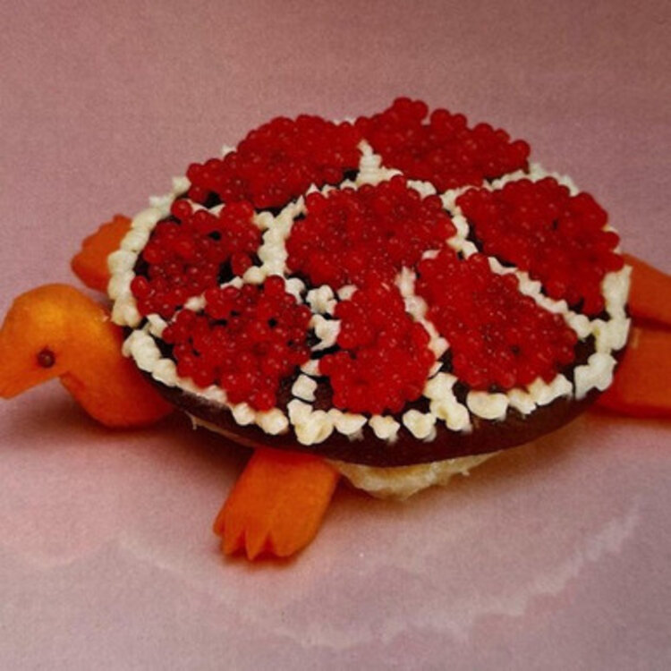 Sharp Pins - 'Turtle Rock' LP