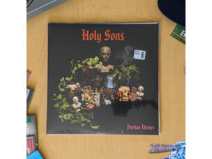 Rock / Indie / Alternative Holy Sons - Puritan Themes LP