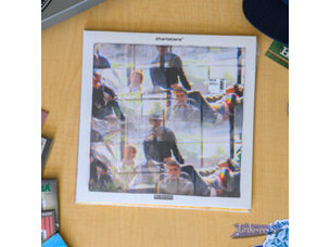 Charlatans Uk - We Are Love LP