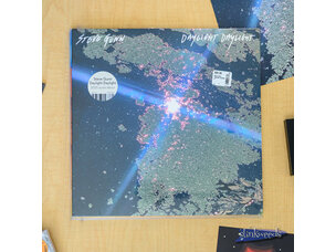 Steve Gunn 'Daylight Daylight' LP